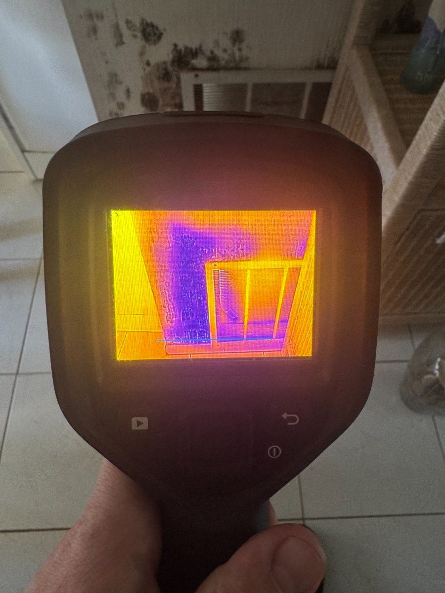 Thermal image mapping the cold moisture plume running up a wall