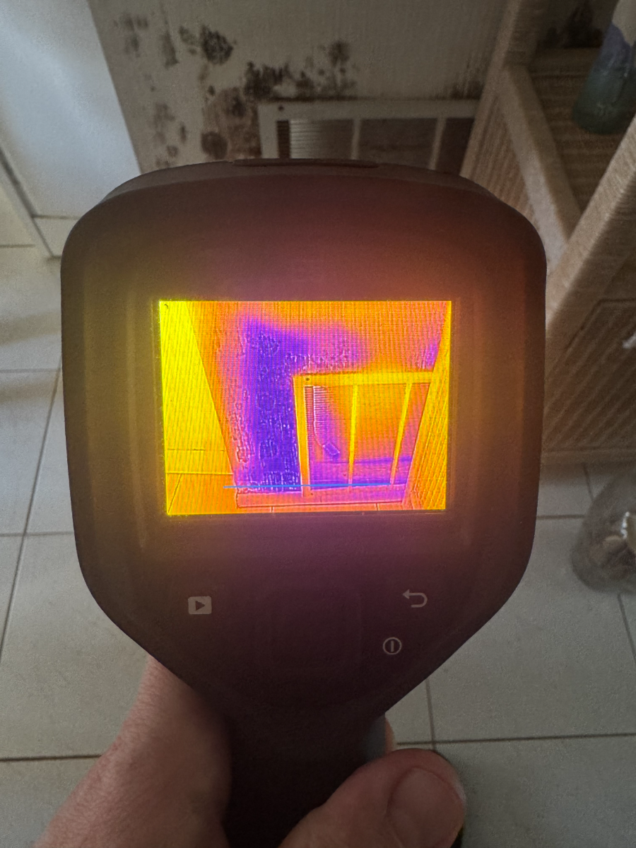 Thermal image mapping the cold moisture plume running up a wall