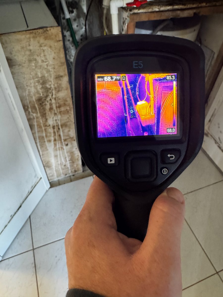 FLIR E5 thermal camera reading moisture behind a wall next to visible mold growth
