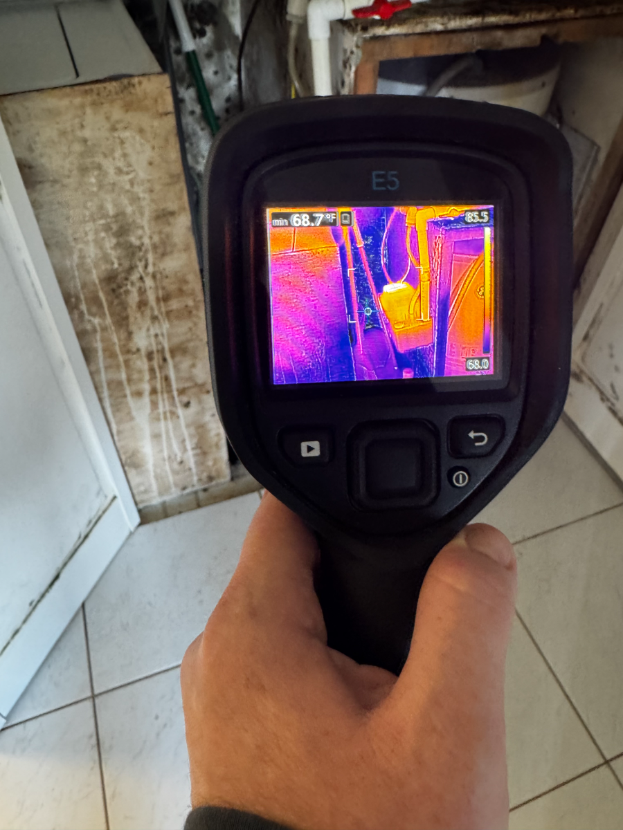 FLIR E5 thermal camera reading moisture behind a wall next to visible mold growth